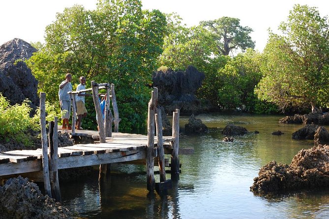 Kisite Marine Park Private Boat Snorkeling With Breakfast & Lunch - Traveler Ratings and Feedback