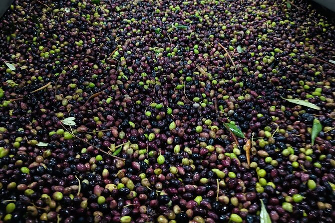 Kleanthi Olive Farm: Guided Tour With Local Delicacies Tasting - Knowledgeable Guide Insights