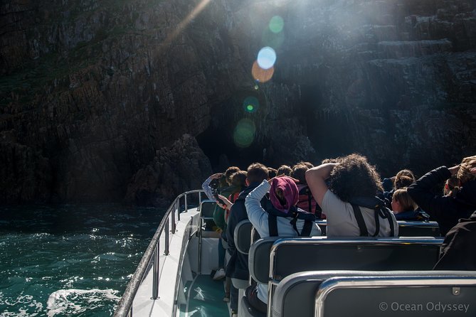 Knysna Marine Life & Garden Route Coastline Experience - Customer Feedback and Satisfaction