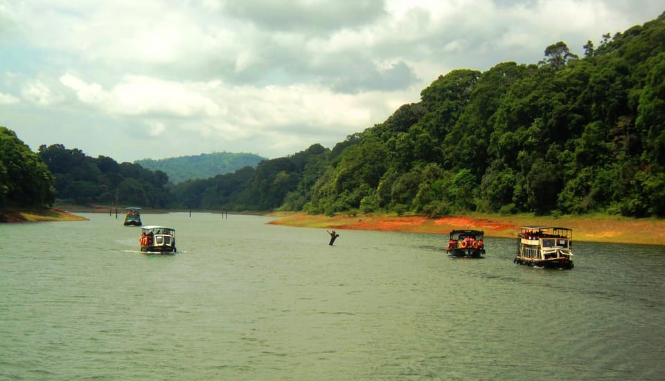 Kochi: 04 Days, Exclusive Cochin With Periyar Wildlife Tour - Periyar Wildlife Sanctuary