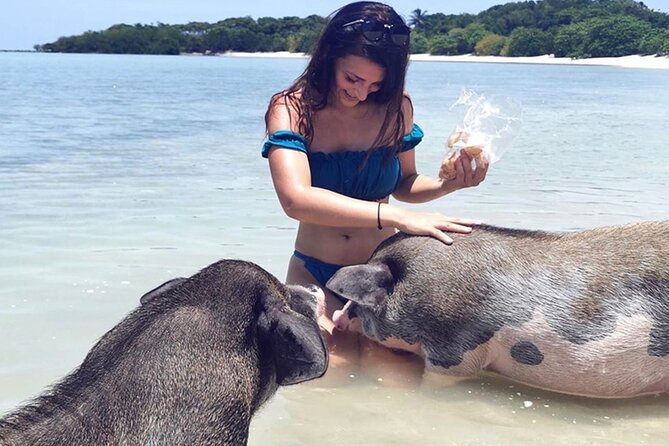 Kohsamui.Tours - Pig Island Snorkeling Eco Tour by Speed Boat - Pricing Information
