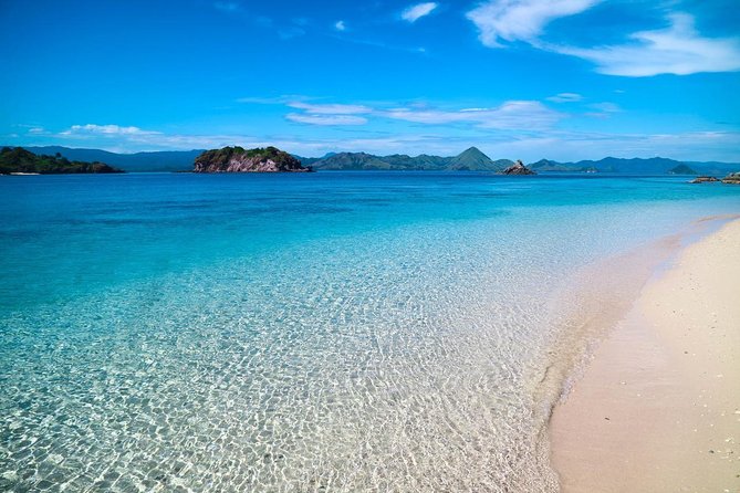 Komodo Island Adventure From Bali (Day Trip) - Best Time to Visit