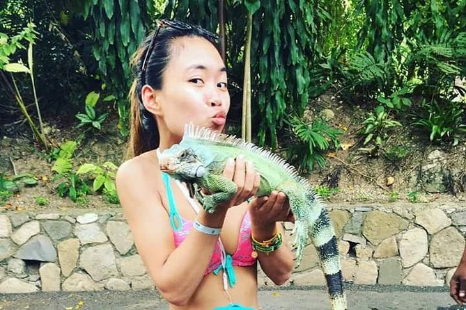 Konoko Falls and Tropical Garden Tour From Runaway Bay - Cruise Ship Passengers