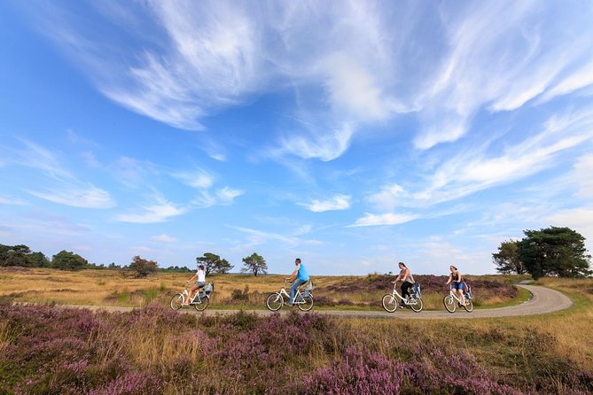 Kröller Müller Museum and Hoge Veluwe National Park Small Group Tour - Guided Tour Highlights