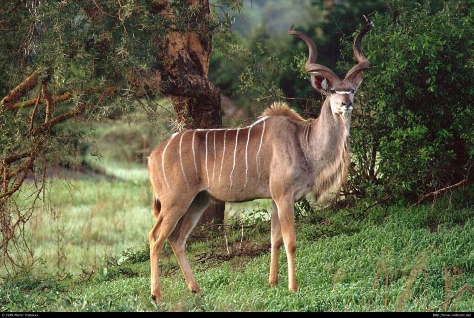 Kruger National Park 3 Day Private Tour From Johannesburg - Booking and Cancellation Policy