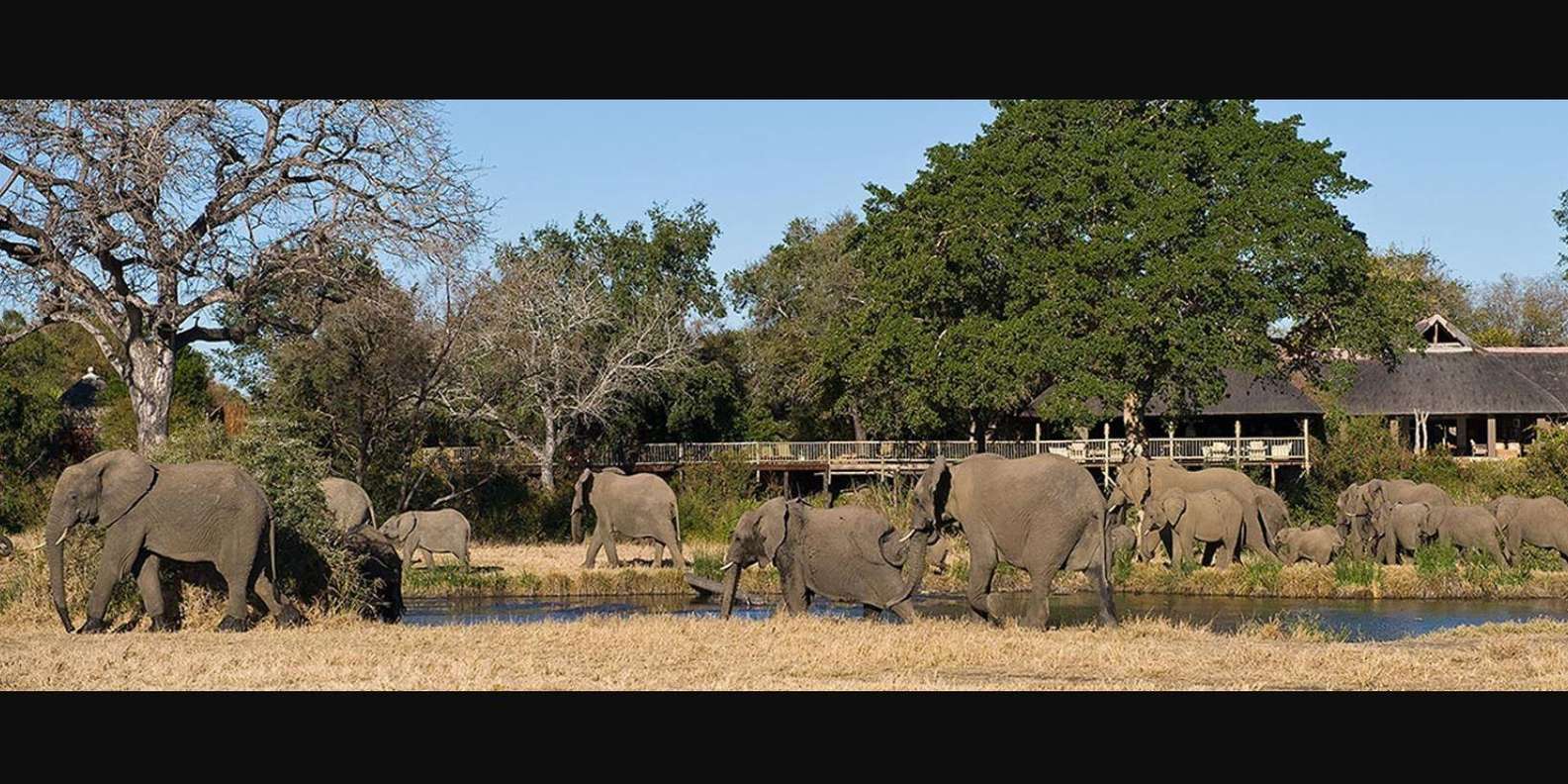 Kruger National Park 3 Day Safari Fr Johannesburg & Pretoria - Transportation and Accessibility