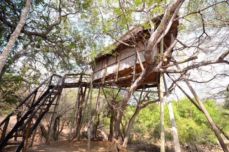 Kruger National Park: 3-Day Safari Tour and Treehouse Stay - Pickup and Dropoff Logistics