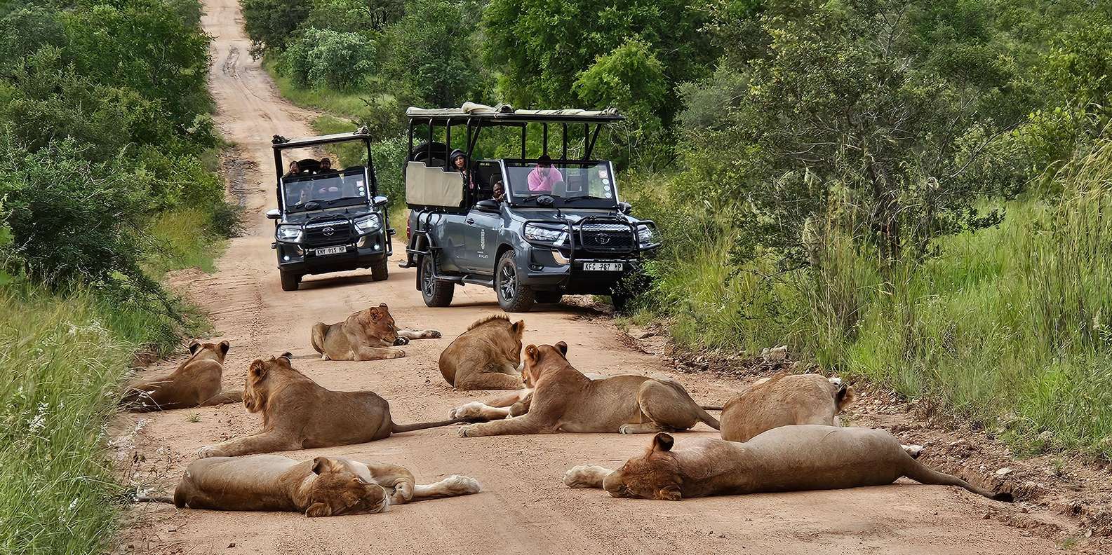 Kruger National Park: 3 Day Tour From Johannesburg/Pretoria - Park Entry and Expenses