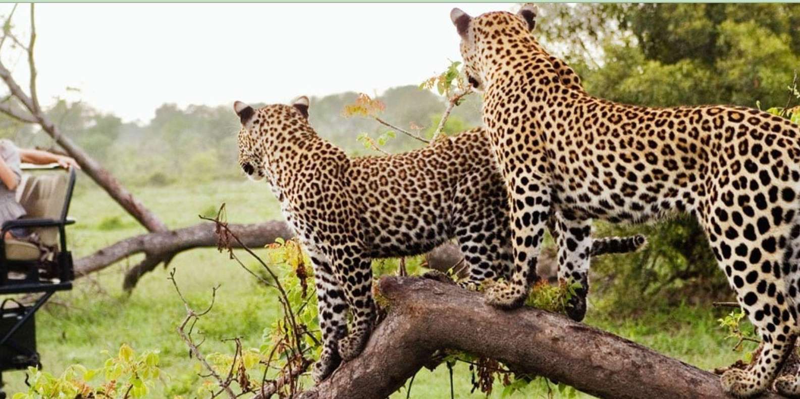 Kruger National Park 4 Day Safari Fr Johannesburg & Pretoria - Accommodation Details