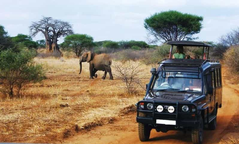 Kruger National Park & Blyde River Canyon 4 Day Safari - Transportation and Accessibility