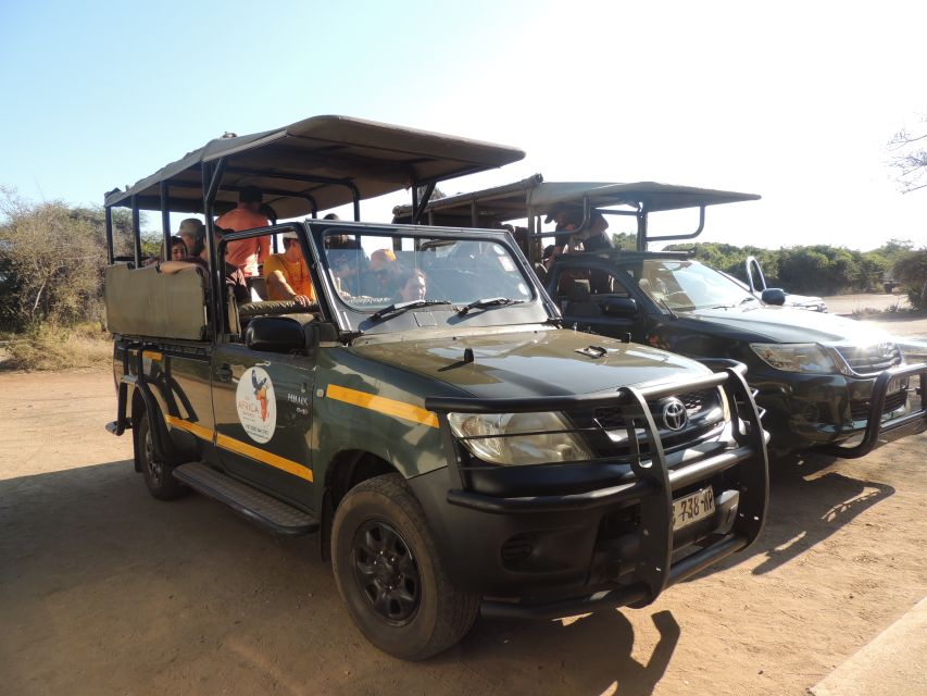 Kruger National Park: Full-Day Game Drive With Pickup - Guide and Group Size