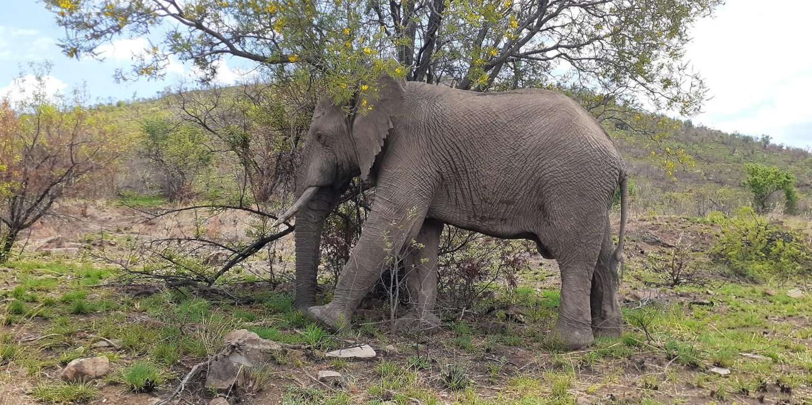 Kruger National Park Tour 3day/2 Nights (Open Safari Truck) - Included Accommodations and Meals