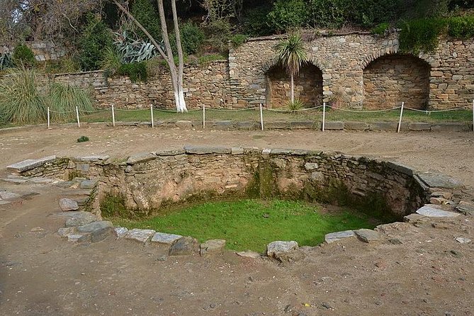 Kusadasi Shore Excursion: Private Tour to Ephesus and the House of Virgin Mary - Accessibility and Requirements