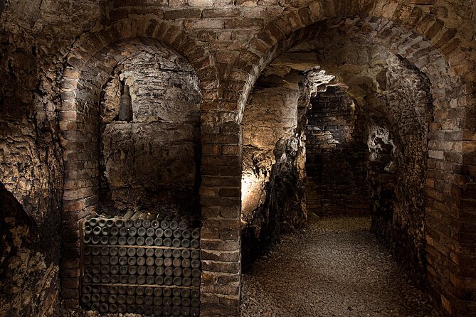 Langhe (Piedmont): Wine Tasting Experience - Exploring the Renowned Vineyards