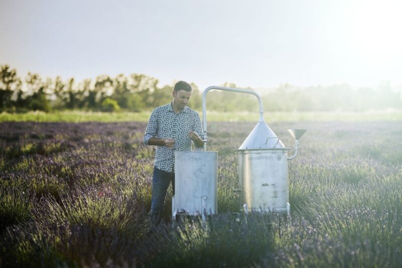 Lavender Field & Distillery Tour Between Nimes & Arles - Customer Feedback and Recommendations