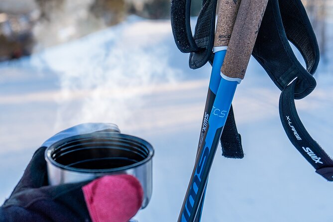 Learn Nordic Skiing - Private Class With Professional Instructor - Cancellation and Refund Policy