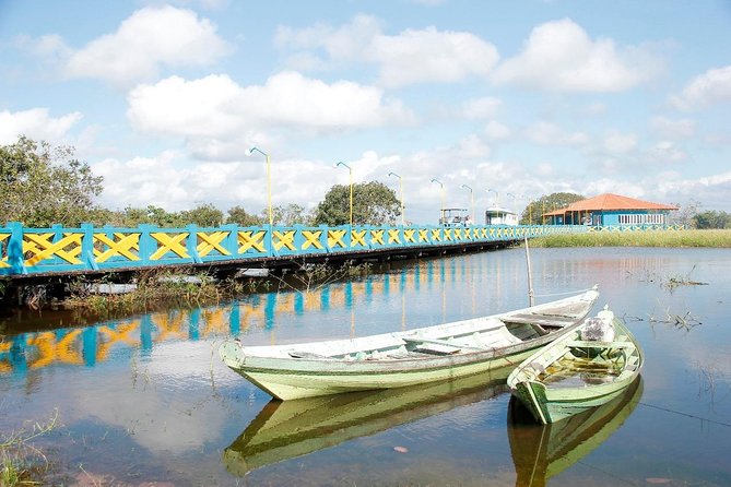 Live the Best 10 Attractions in Alter Do Chão - Tour Customization Options