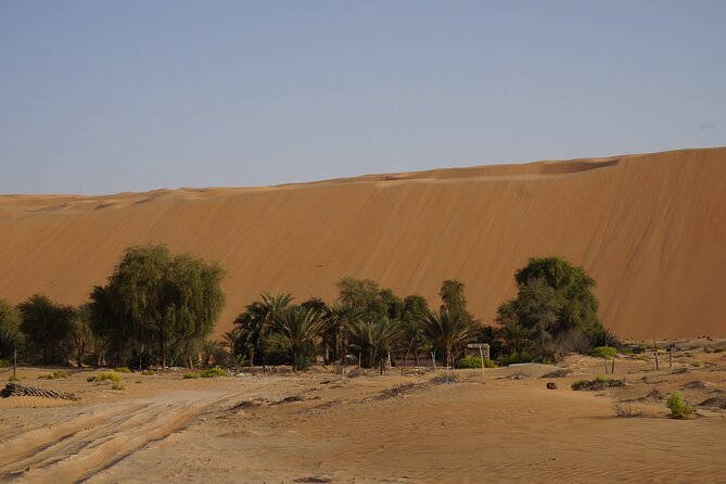 Liwa Full Day Desert Safari From Abu Dhabi - Pricing and Cancellation Policy
