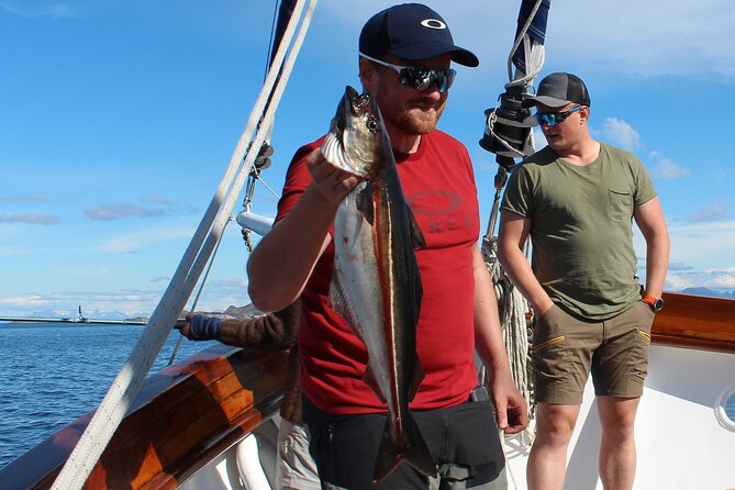 Lofoten Islands Luxury Sea2table Fishing Trip From Svolvær - Included Amenities