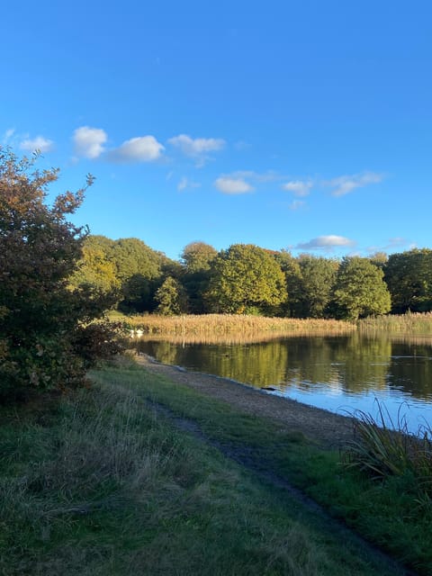 London: East London Country Parks Guided Walking Tour - Exploring Leytonstone