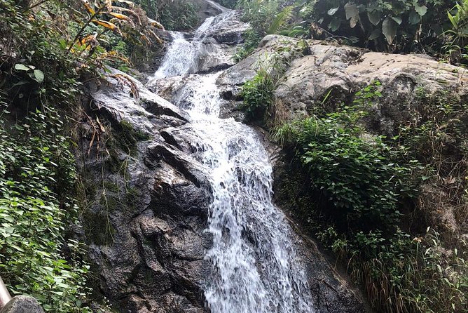 Lost in Chiang Mai - Secret Village, Hot Spring & Waterfall - A Cultural Therapy - Dining at the Hot Springs