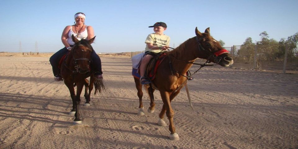 Luxor: Scenic Camel or Horse Ride - Scenic Highlights