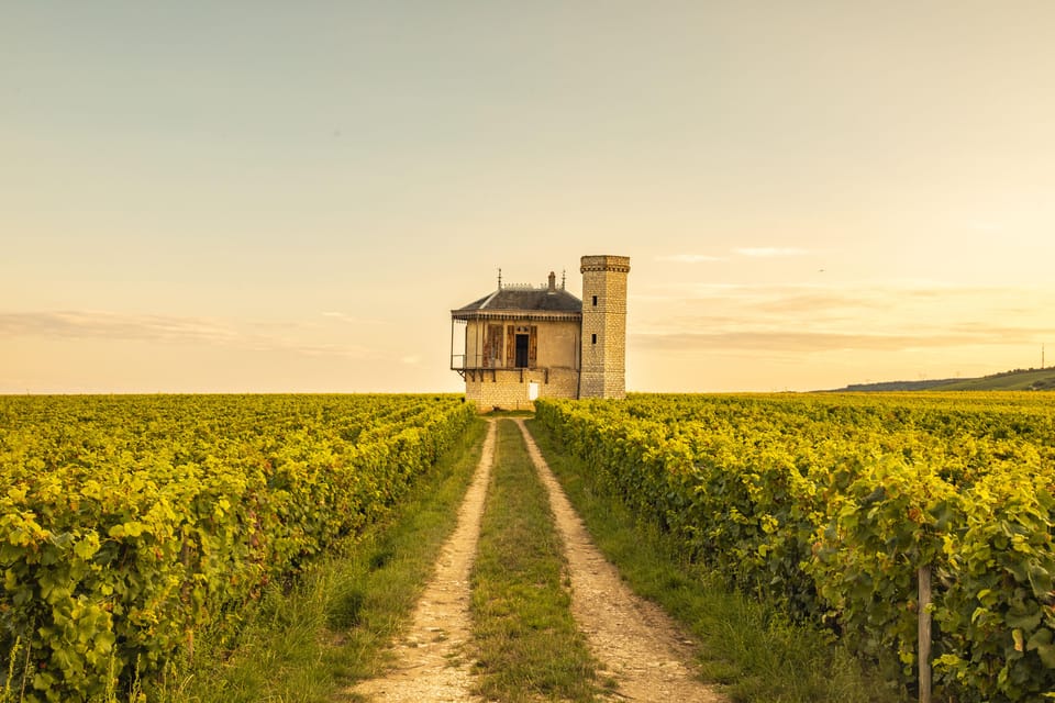 Luxury Burgundy Private Wine Tour - Frequently Asked Questions