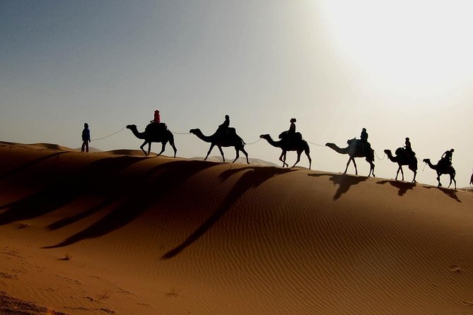 Luxury Desert Tour 3days 2 Night Fez Merzouga Ouarzazat Marakech - Day 1 Highlights