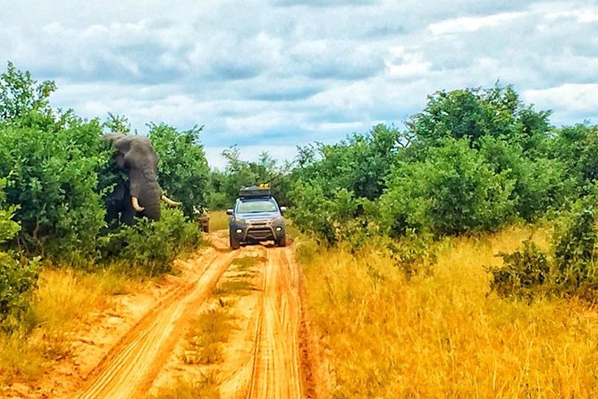 Luxury Okavango Safari - 3 Day - Tour Logistics and Details