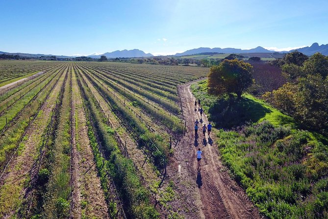 Luxury Wine Tour With Lunch - Tour Participation Details