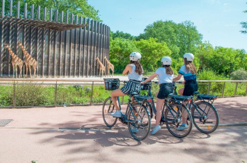 Lyon: Discovery of the Tête D'or Park by Bike - Languages Offered