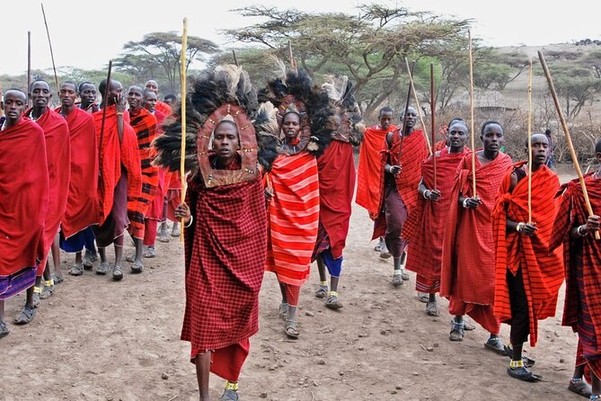 Maasai Village Visit, Materuni Waterfalls & Coffee Experience - Transportation Logistics