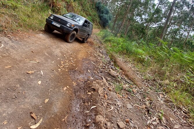 MADEIRA: Jeep Safari to Lava Pools and Seixal Full-Day West - Tour Highlights