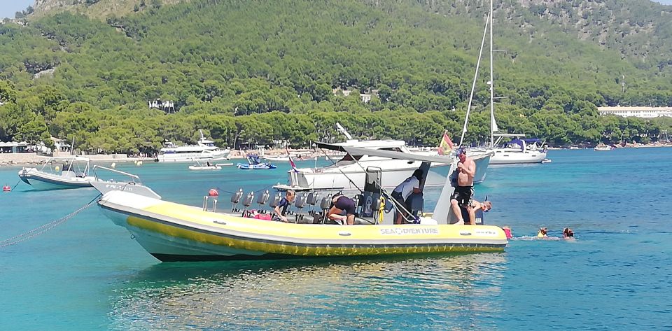 Mallorca : Speedboat, Snorkelling and Swimming Adventure - Booking Information