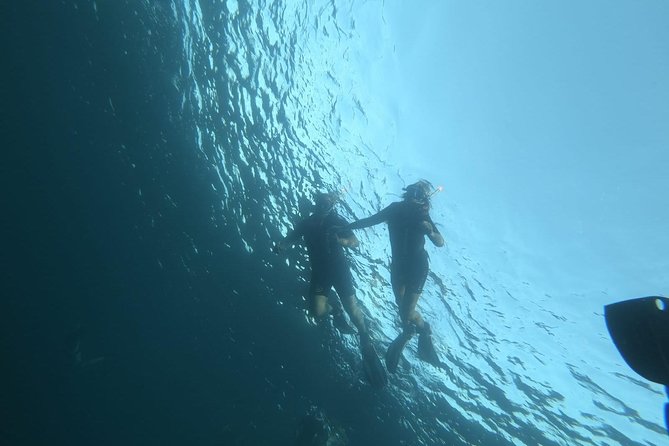 Malta Sunset Snorkeling - Recommendations and Additional Information