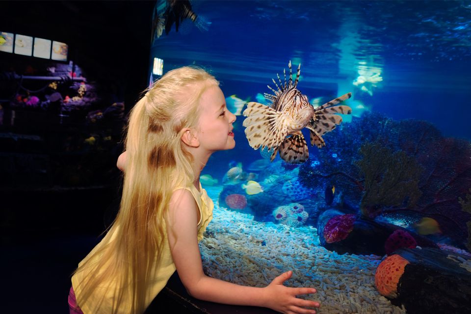 Manchester: SEA LIFE Entrance Ticket - Frequently Asked Questions