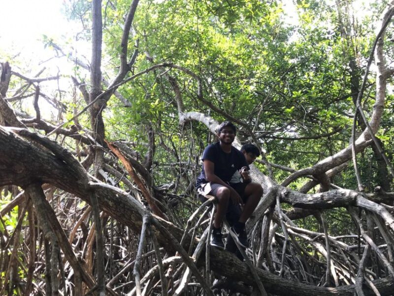 Mangrove Adventure in Bentota - Meeting Point