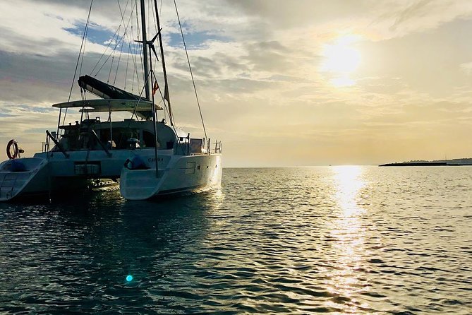 Marbella Small Group Catamaran With Dolphin Watching - Weather Conditions and Activity Planning