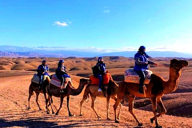 Marical Dinner and Camel Ride at Sunset in Desert of Marrakech - Traveler Reviews and Feedback