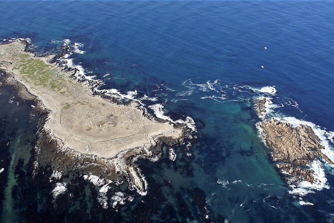 Marine Big 5 Safari With Transport From Hermanus - Booking Process and Details