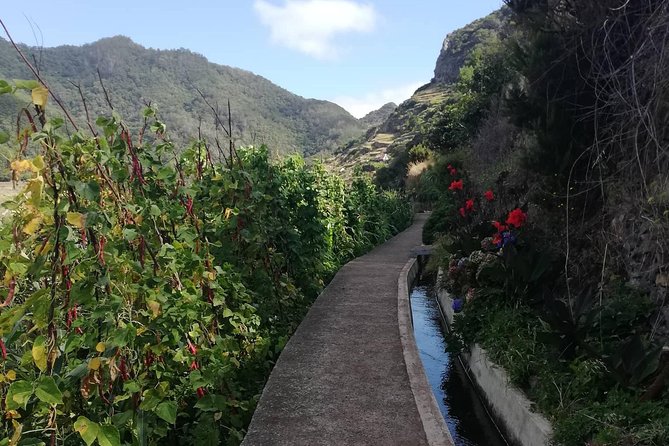 Maroços - Mimosa Valley - Scenic Viewpoints