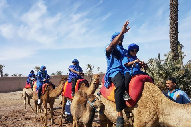 Marrakech Camel Ride & Quad Bike Experience in the Oasis Palmeraie - Customer Feedback