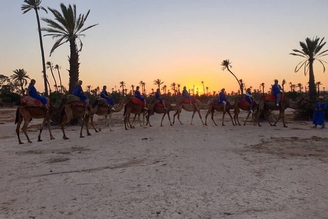 Marrakech Desert Camel Ride - Amenities and Inclusions