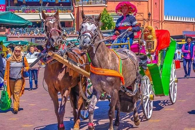 Marrakech Private Souks Shopping Tour - Inclusions and Amenities