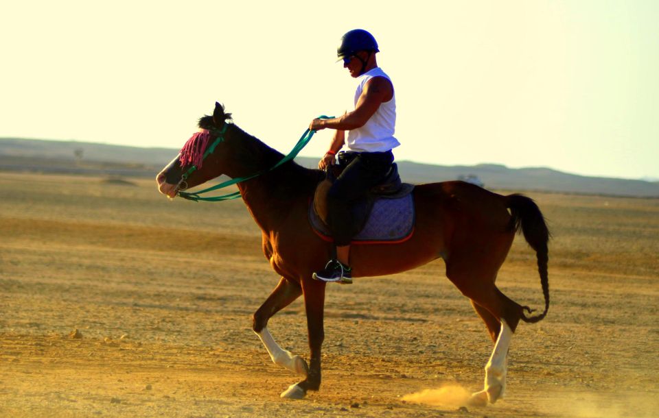 Marsa Alam: Sea and Desert Horse Riding Tour - Customer Reviews and Ratings