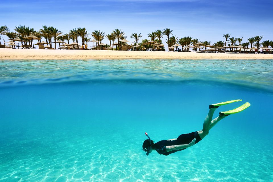 Marsa Alam: Snorkeling Trip to Satayh Dolphin Reef - Customer Reviews