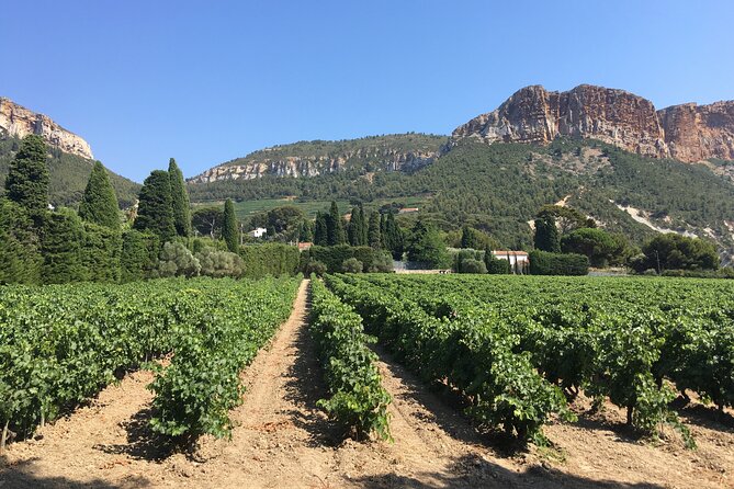 Marseille Shore Excursion - Private Full Day Wine Tour in Provence - Inclusions and Amenities