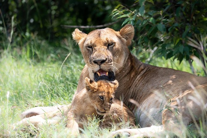 Masai Mara 3 Day Safari | Private 4WD Jeep Tour - Booking and Cancellation Policy