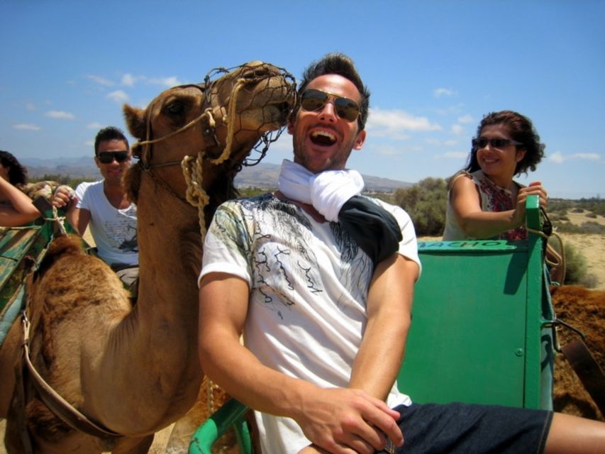 Maspalomas: Guided Camel Ride in the Maspalomas Sand Dunes - The Sum Up