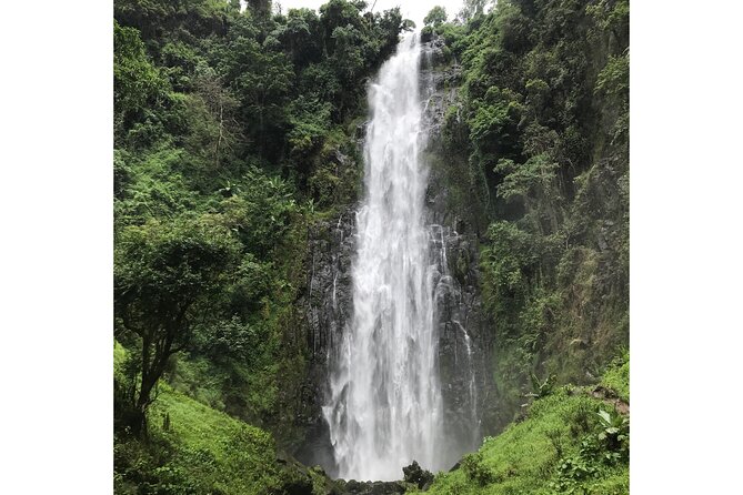 MATERUNI Waterfalls, Coffe Tour & Kikuletwa Hotsprings - Whats Included in the Tour
